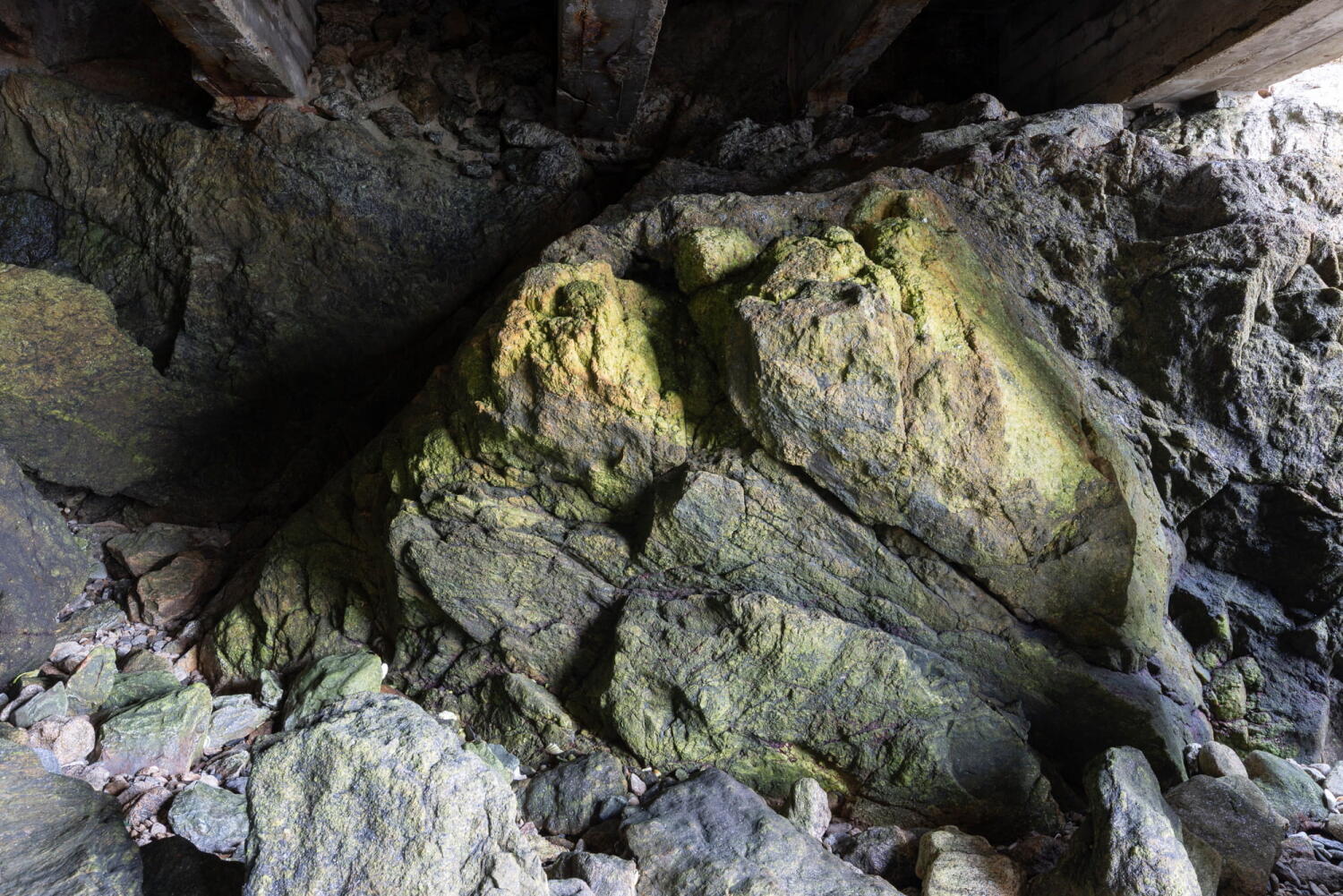 Rocks covered with green algae in the tidal zone.
