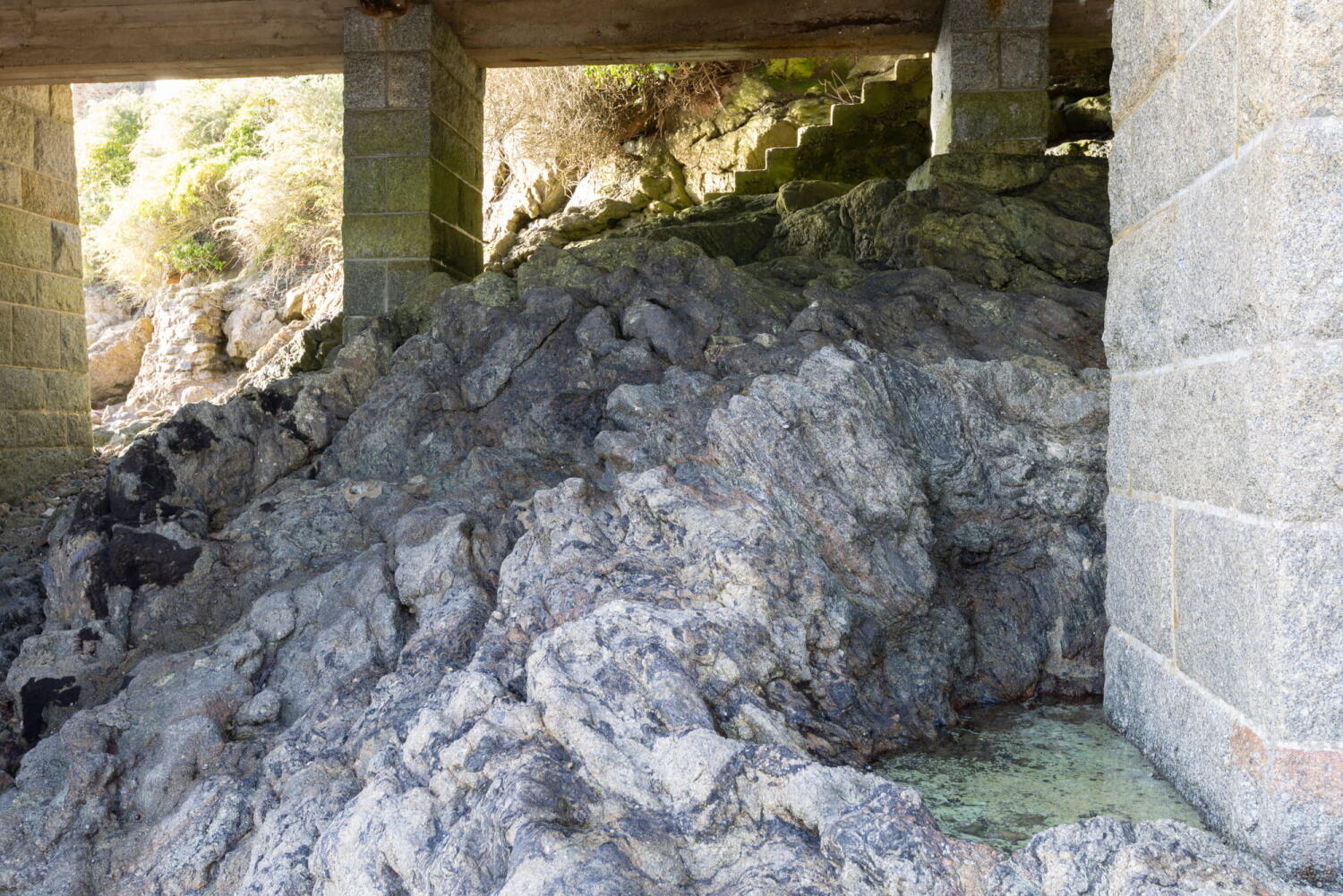 Rocky area in the tidal zone beneath a rescue facility.