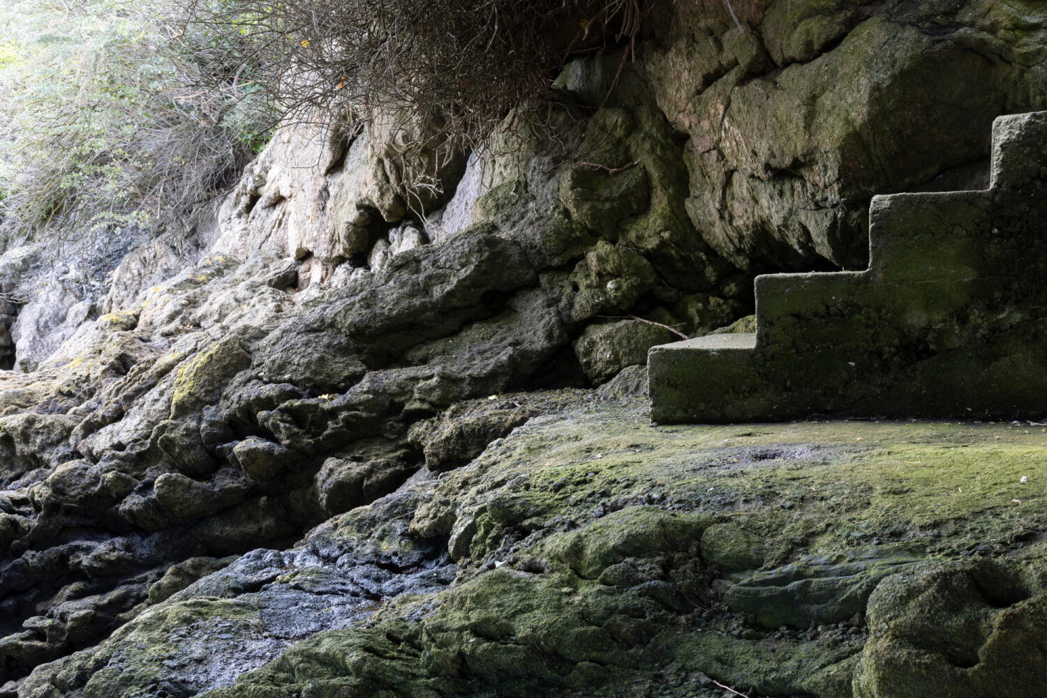 Stairs and rocks covered with green algae and rusted reinforced concrete pillars in the tidal zone.Mit Grünalgen bewachsene Felsen und verrostete Treppe im Gezeitenbereich.