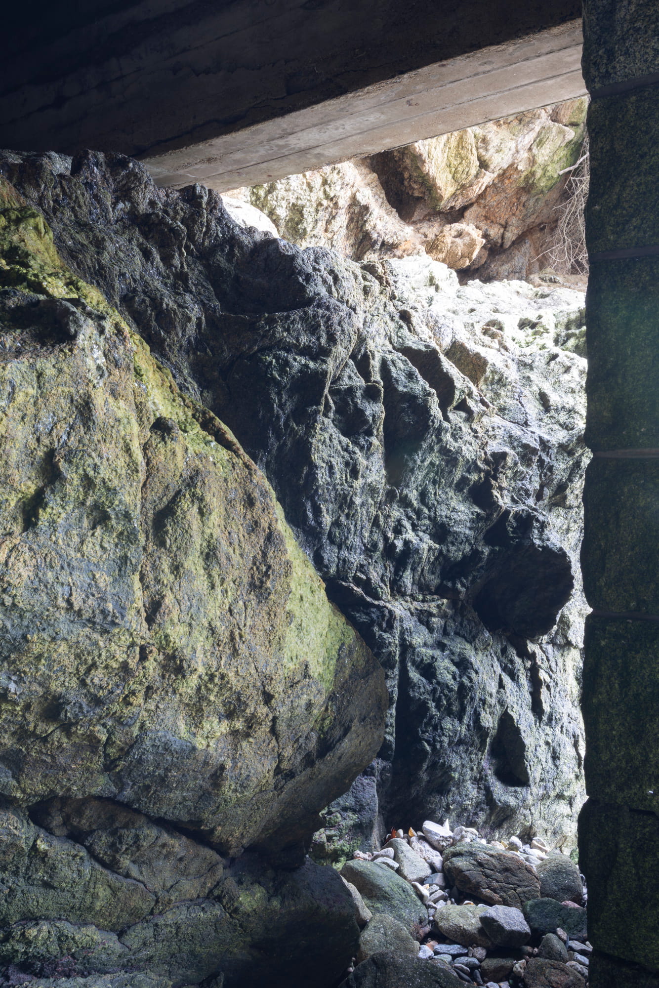 Rocks covered with green algae and rusted reinforced concrete pillars in the tidal zone.