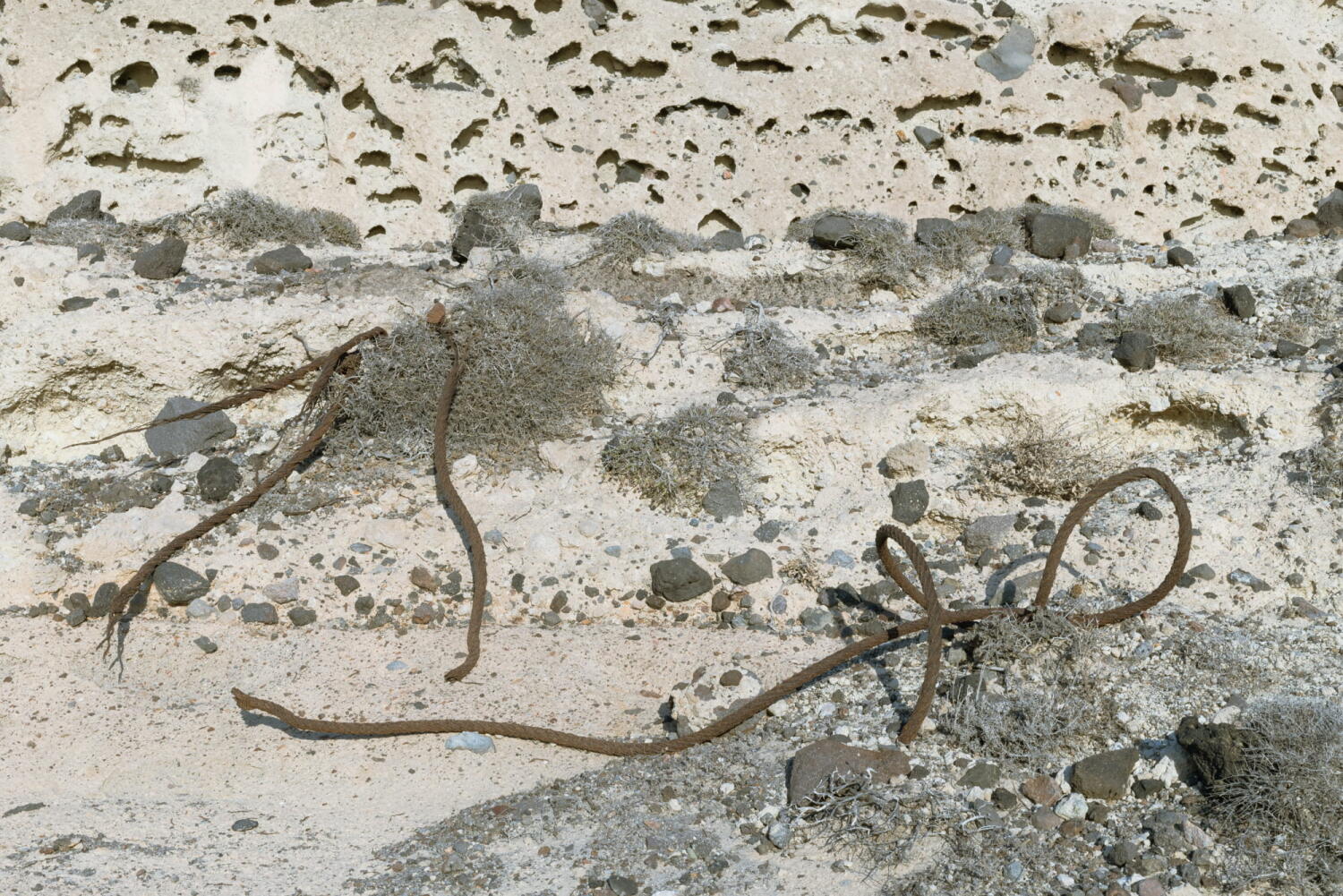 Metal rod, fragments of a porcelain mine, frozen in time on an island in the Mediterranean.